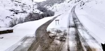 Bitlis'te yoğun kar yağışının ardından 315 köy yolu ulaşıma açıldı