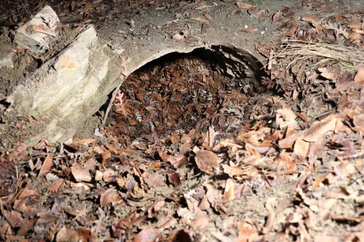 İskenderun\'da Kayıp Anne ve Çocukları Yaylada Ölü Bulundu