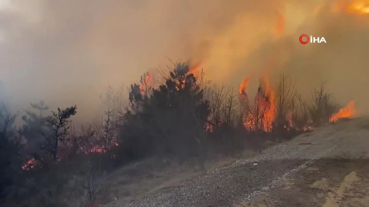 Karabük\'ün Ovacık ilçesinde orman yangını söndürüldü