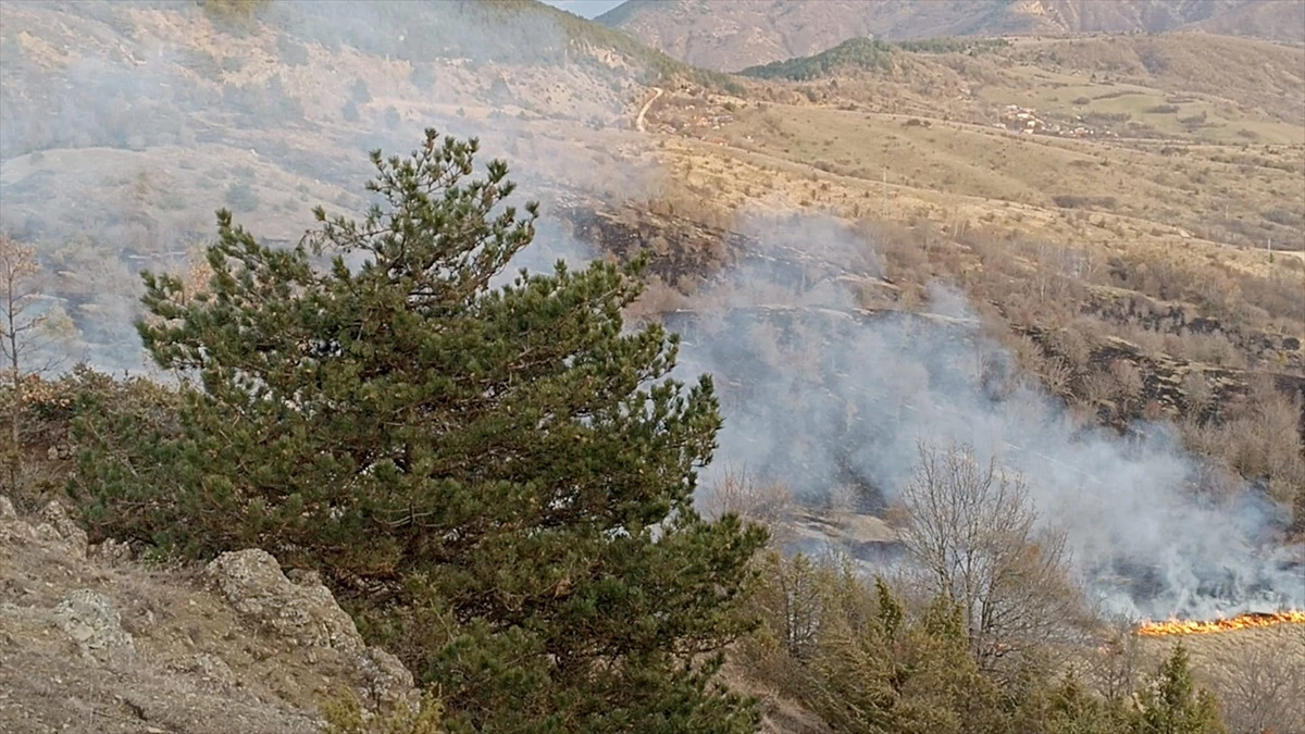 Karabük\'ün Ovacık ilçesinde çıkan örtü yangını söndürüldü