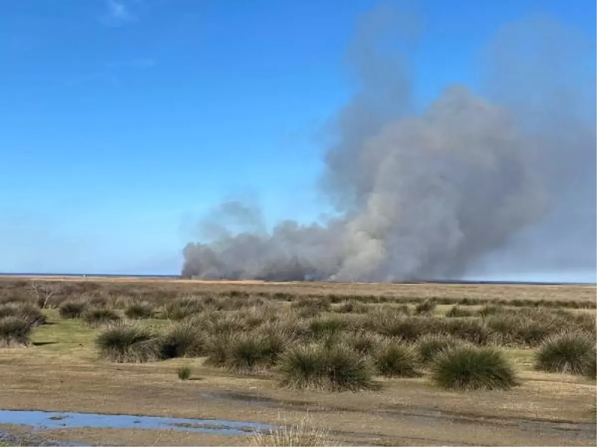 Samsun'da Kızılırmak Deltası Kuş Cenneti'nde Yangın Kontrol Altına Alındı