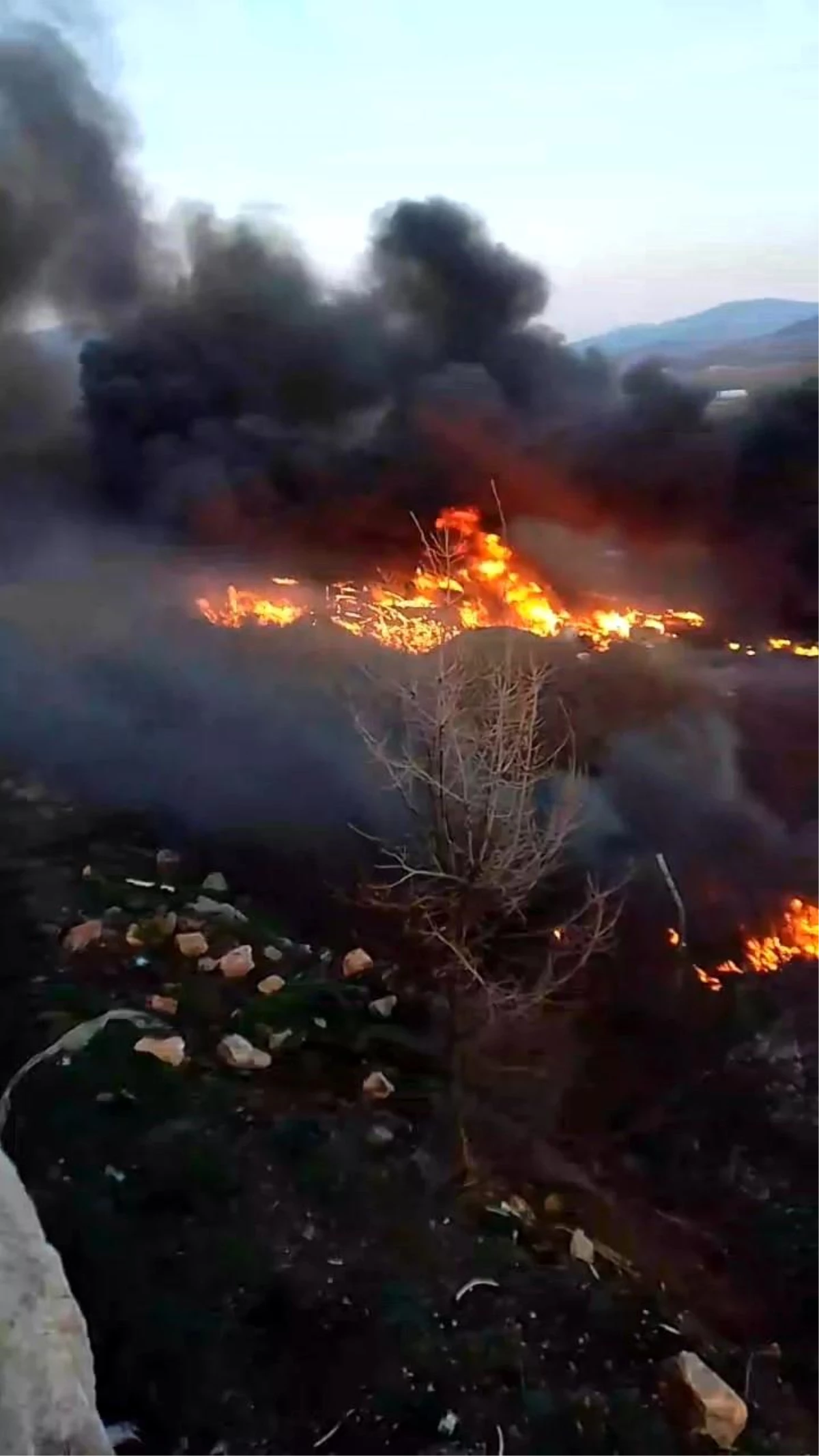 Tokat\'ın Gümenek köyünde ot yangını paniği