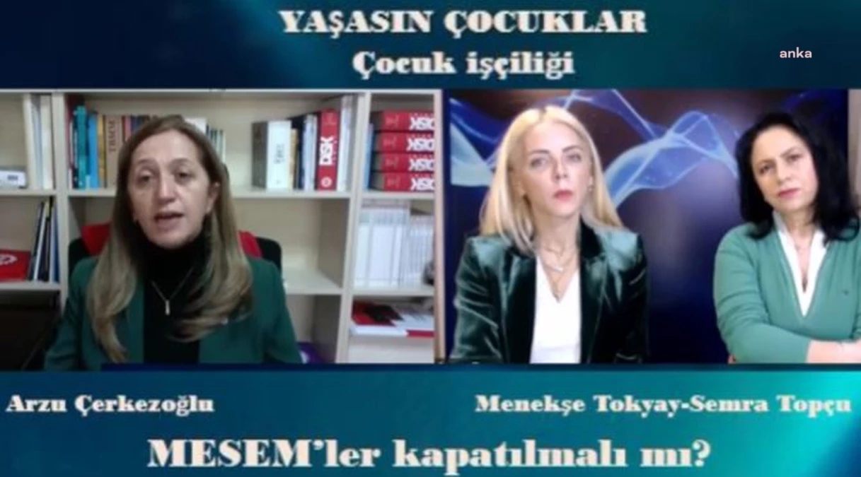 DİSK Başkanı Çerkezoğlu: Çocuk işçiliği anayasal bir suçtur