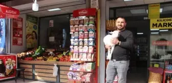 Samsun'da Market Sahibi Kuzusunu Bebek Beziyle Bezliyor