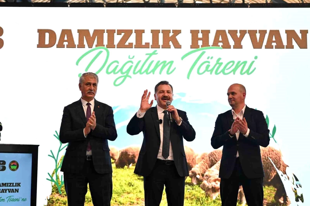 Balıkesir Büyükşehir Belediyesi Savaştepe\'de 550 Küçükbaş Hayvan Dağıttı