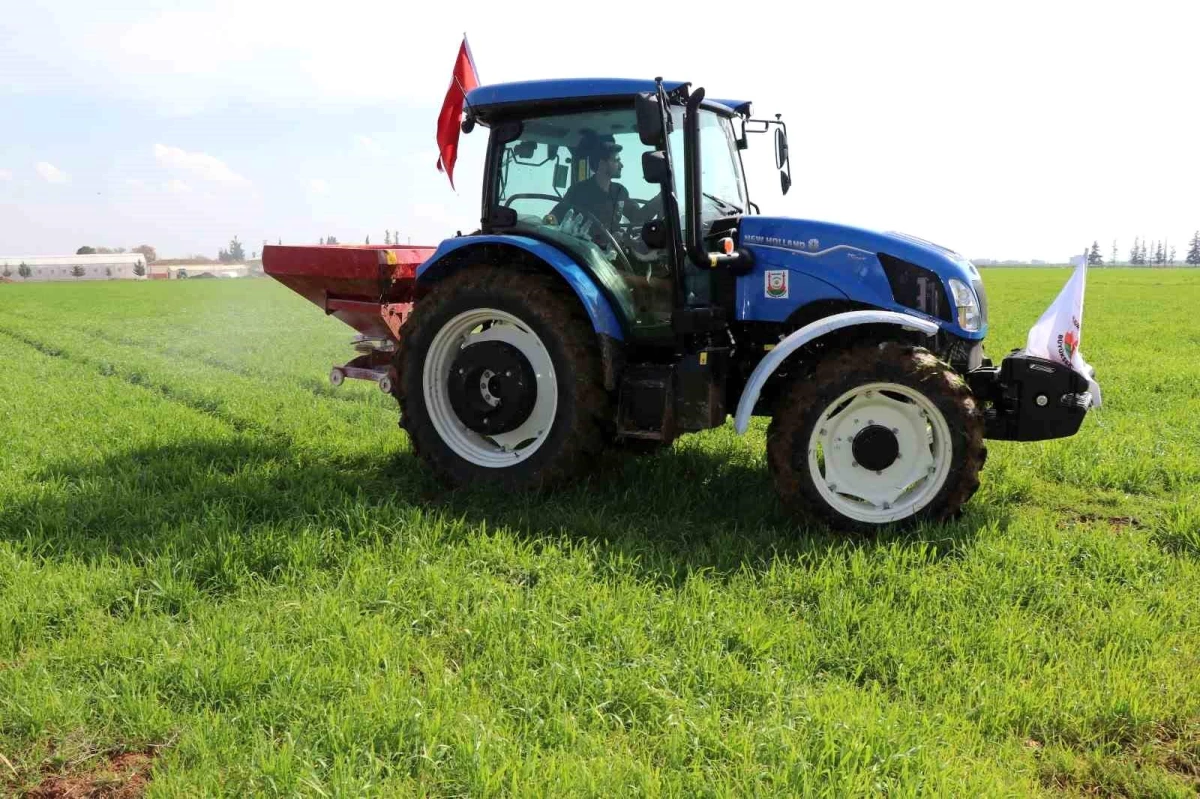 Şanlıurfa\'da Büyükşehir Belediyesi Tarım Projeleri Kapsamında Buğday Tarlasına Gübre Atıldı