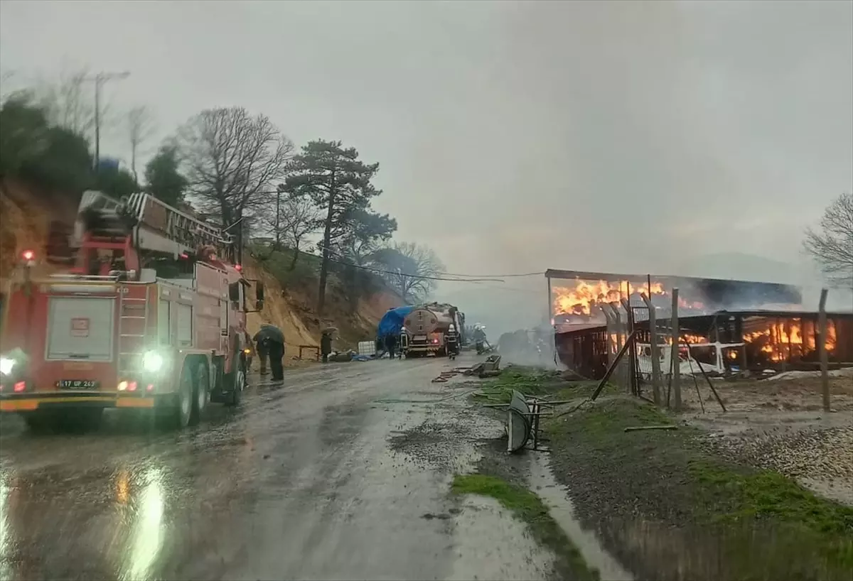 Çanakkale\'de Ahıra Yıldırım İsabet Etti: 2 Bin Saman Balyası Yandı