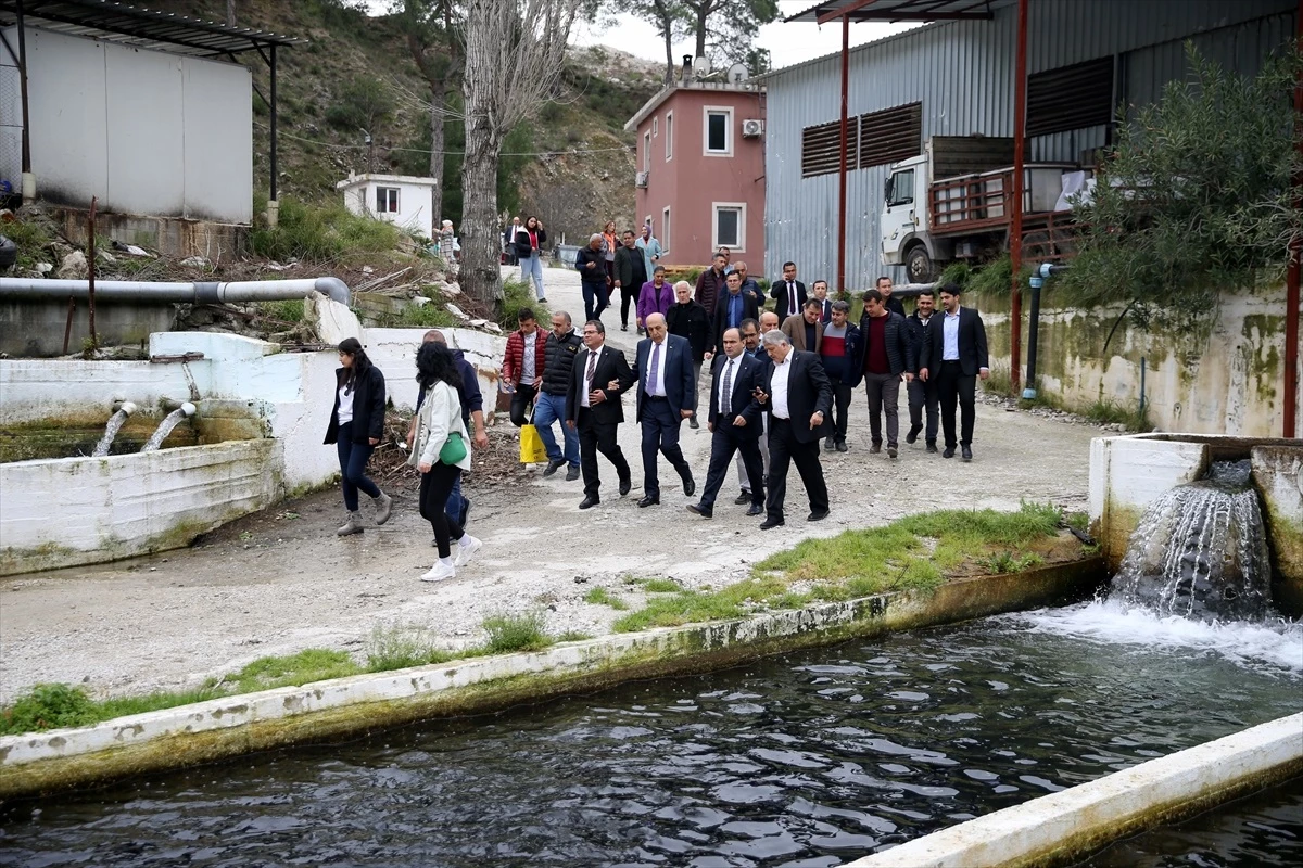 Cumhur İttifakı\'nın Muğla Büyükşehir Belediye Başkan adayı Aydın Ayaydın, Seydikemer\'de ziyaretlerde bulundu