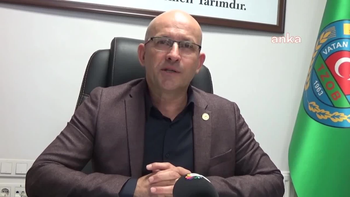 Edirne Ziraat Odası Başkanı: TMO\'nun buğday desteği gecikti, ek destek verilmeli