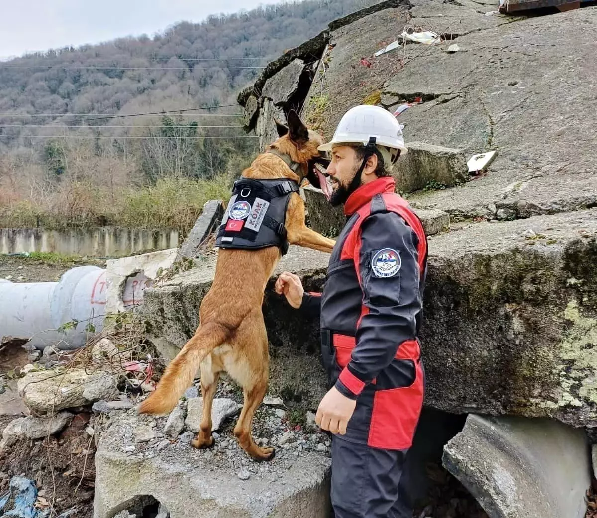 Körfez Belediyesi Arama Kurtarma Ekipleri Eğitimlerine Devam Ediyor