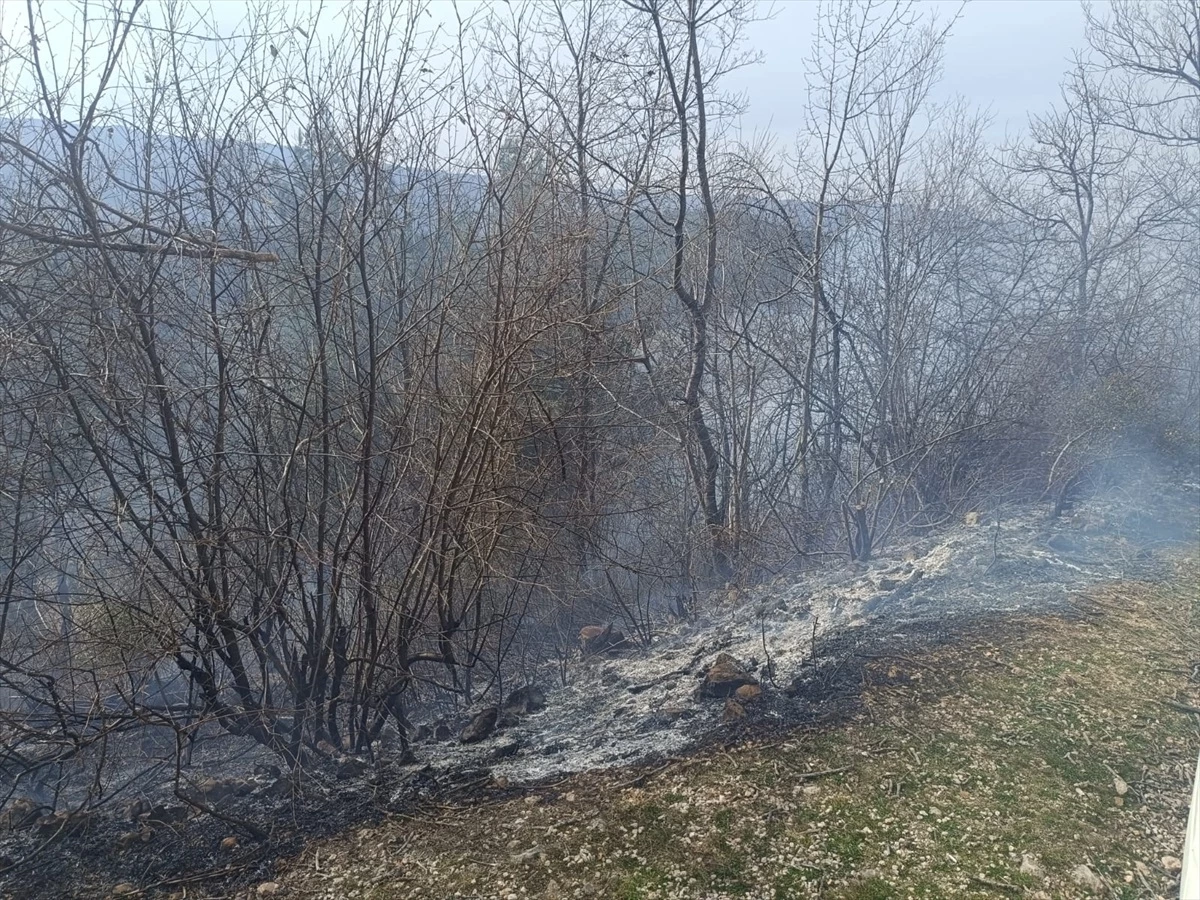 Tokat\'ın Niksar ilçesinde ormanlık alanda çıkan örtü yangını söndürüldü