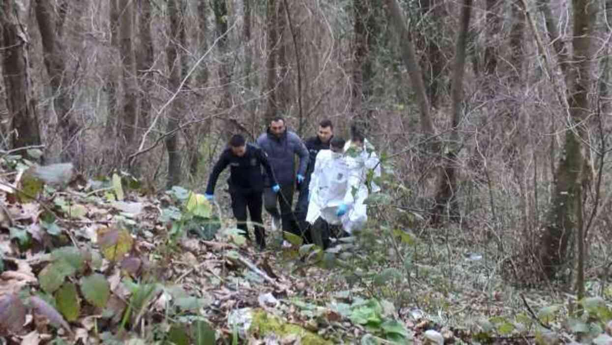 Sarıyer'de çıplak halde ağaca bağlanmış erkek cesedi bulundu