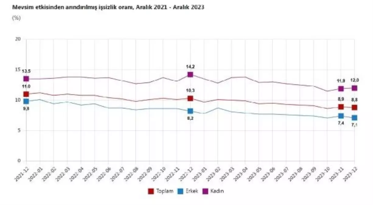 TÜİK: Aralık Ayında İşsizlik Oranı Yüzde 8,8