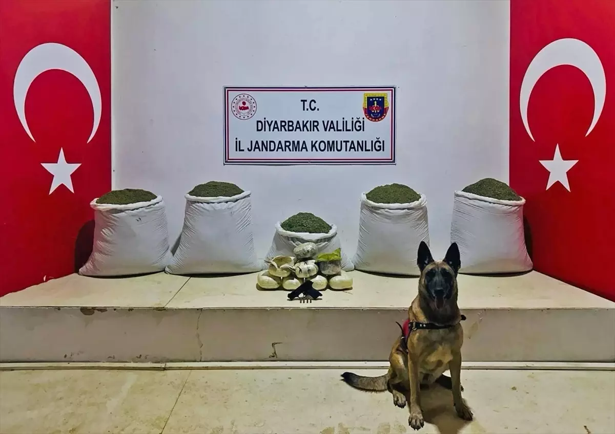 Diyarbakır Lice\'de 91 Kilogram Toz Esrar Ele Geçirildi