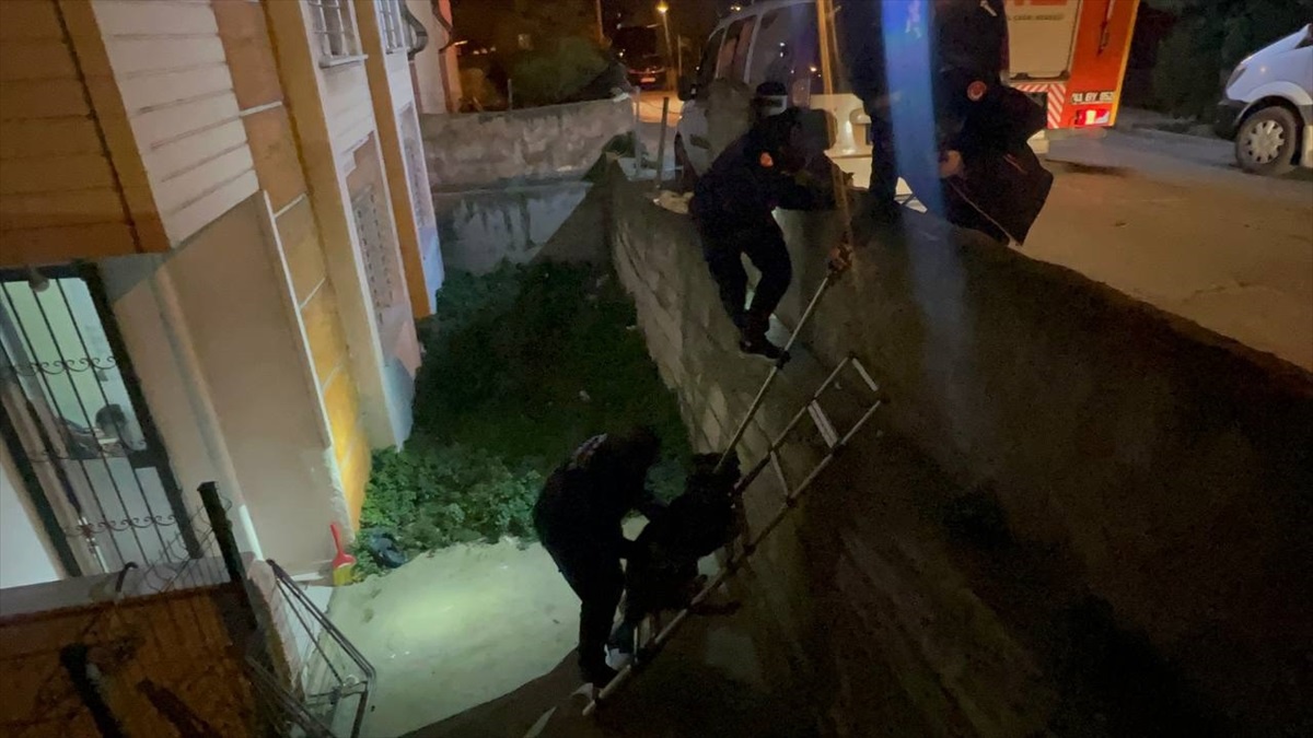 Gebze\'de bahçe duvarından düşen köpeğe itfaiye yardımı