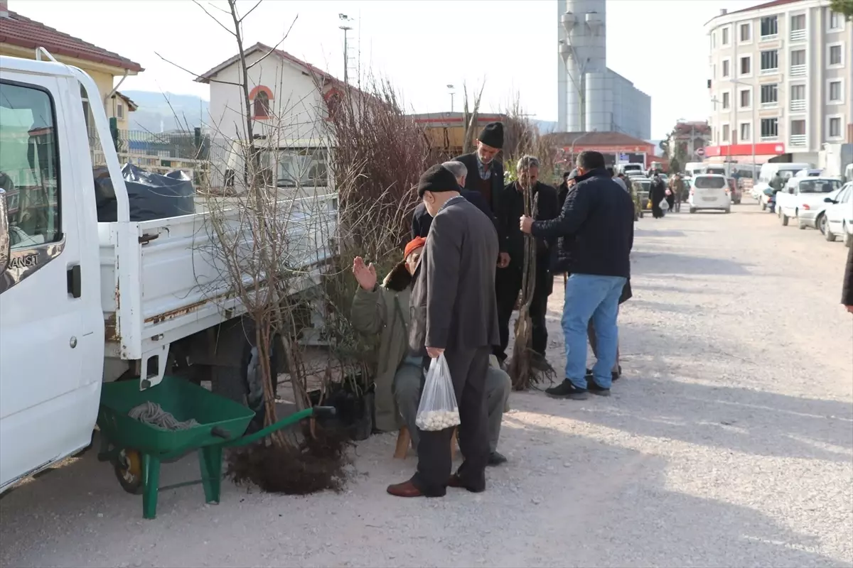 Havza\'da Fidan Pazarı Yoğun İlgi Görüyor