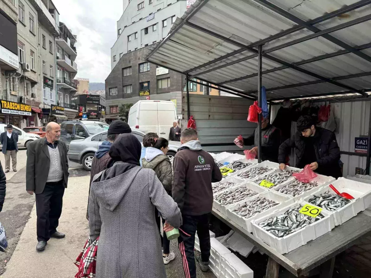 Zonguldak\'ta İstavrit Bolluğu: Kilosu 60 Liradan Satıldı