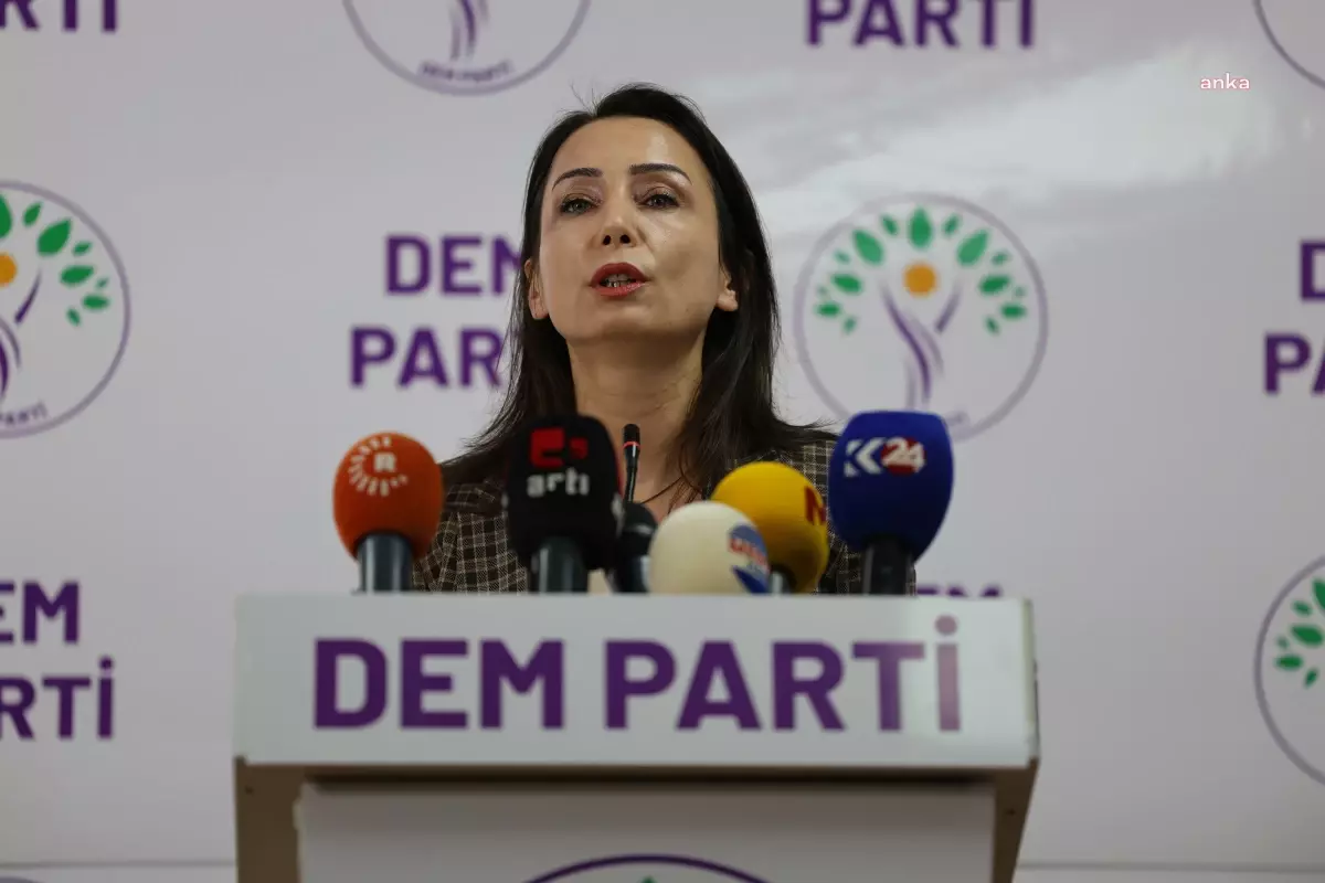 DEM Parti Eş Genel Başkanı Tülay Hatimoğulları, Çöpler Altın Madeni\'ndeki Göçük Hakkında Açıklama Yaptı