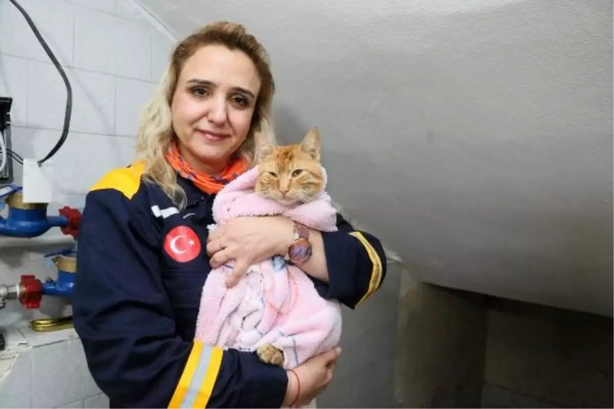 AFAD Gönüllüsü Kedi Kurtardı
