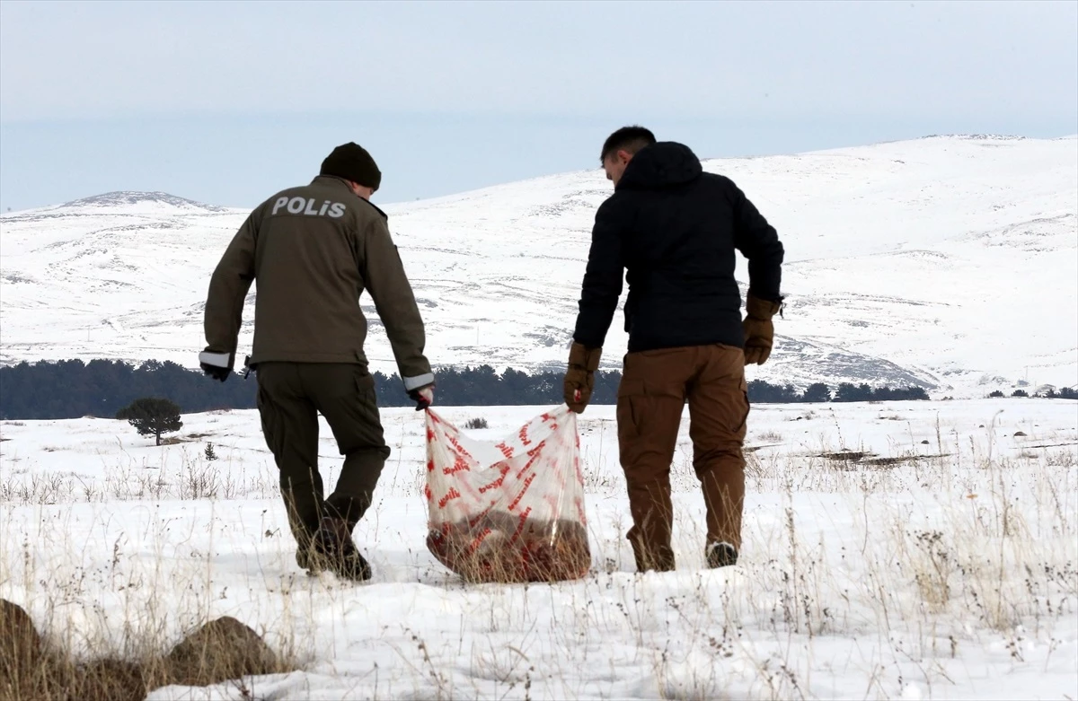 Ardahan\'da yoğun kar nedeniyle yaban hayvanları için doğaya yem bırakıldı