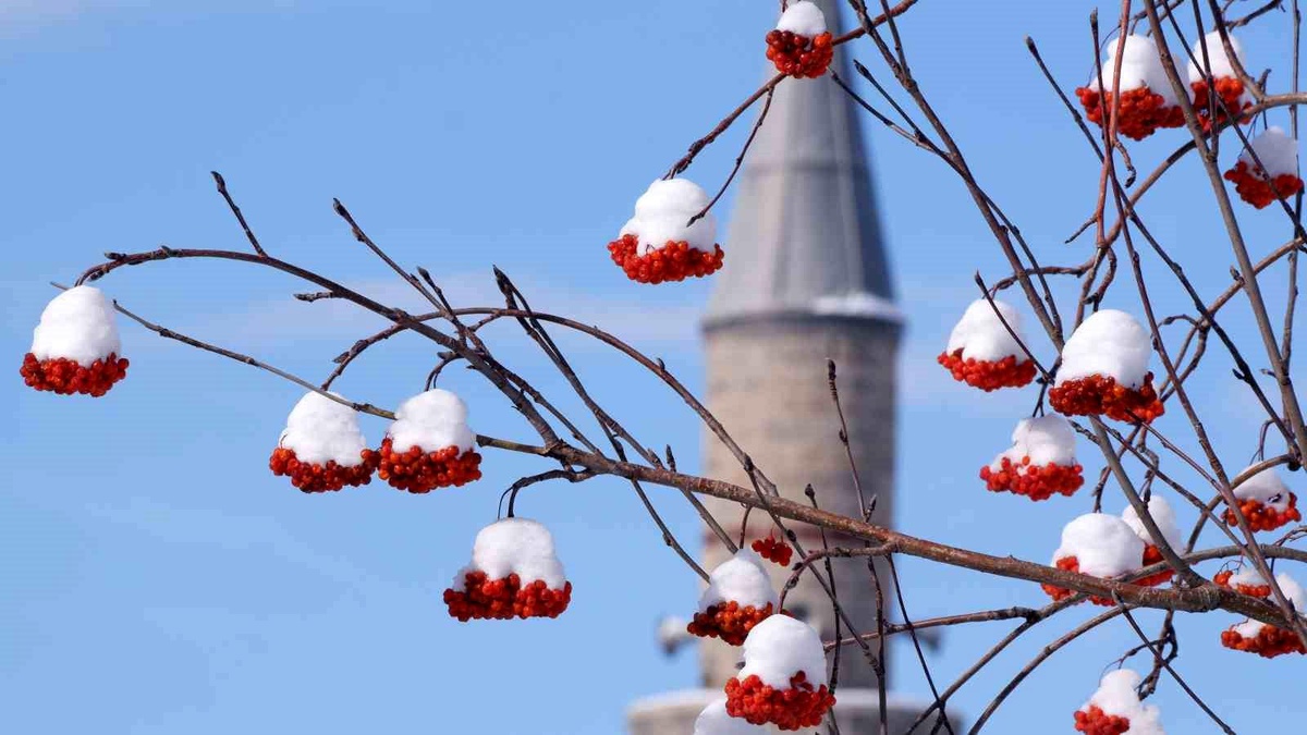 Erzurum\'da Hafta Sonuna Kadar Kar Yağışı Bekleniyor