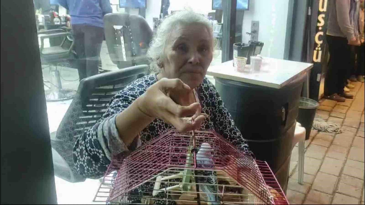 Aydın\'da Aspiratörden Çıkan Yangında Ev Sahibi Muhabbet Kuşunu Kurtardı