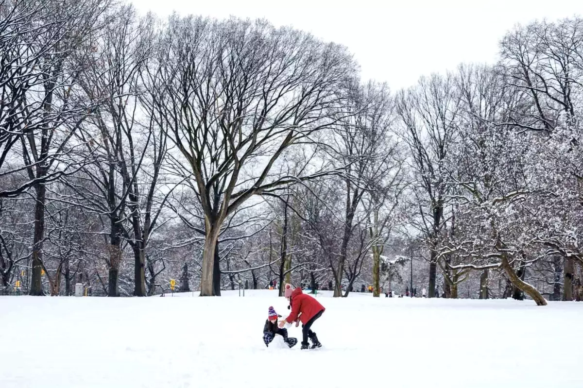 ABD'nin New York'ta Son 2 Yılın En Fazla Kar Yağışı Görüldü