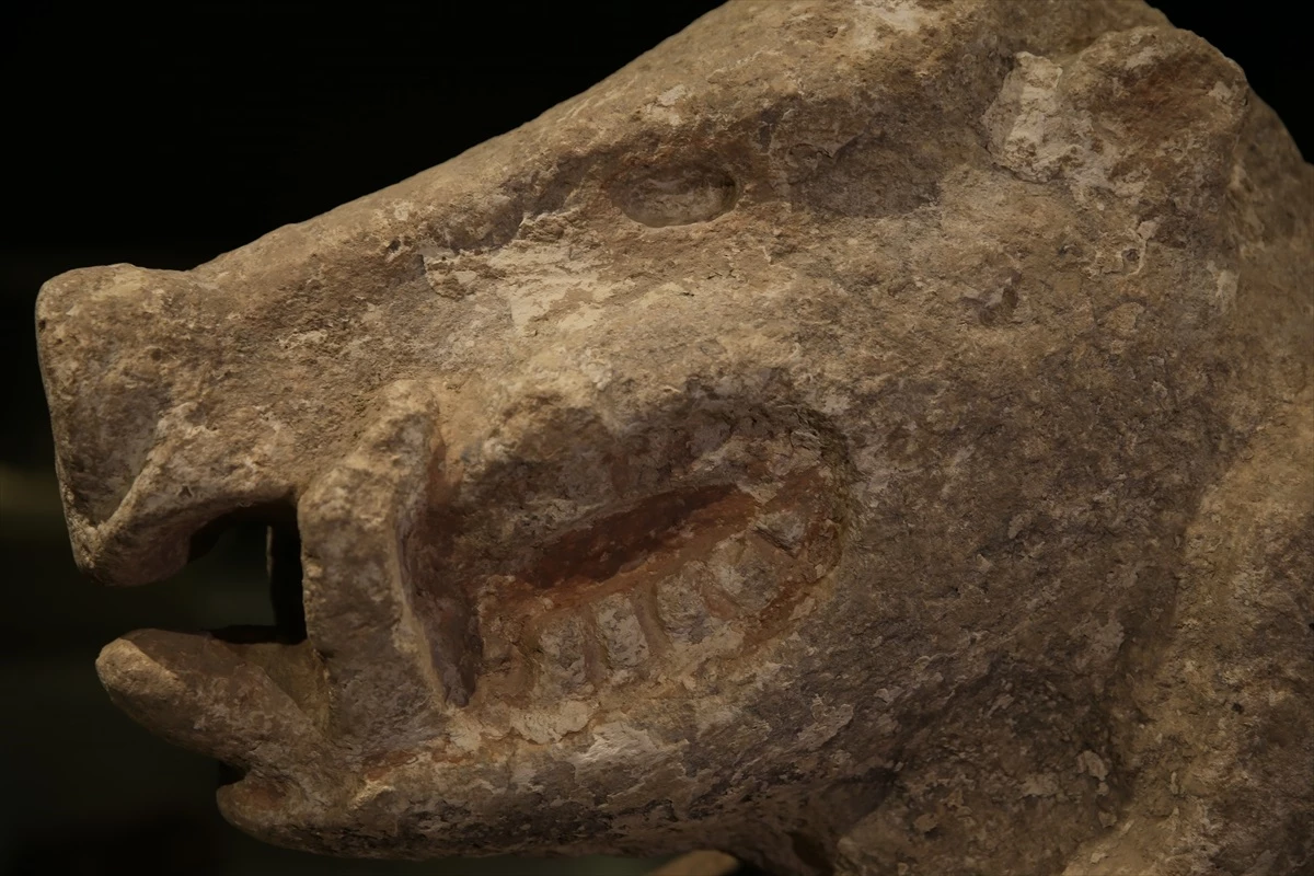 Şanlıurfa Arkeoloji Müzesi\'nde Neolitik Döneme Ait 81 Eser İlk Kez Sergilenecek