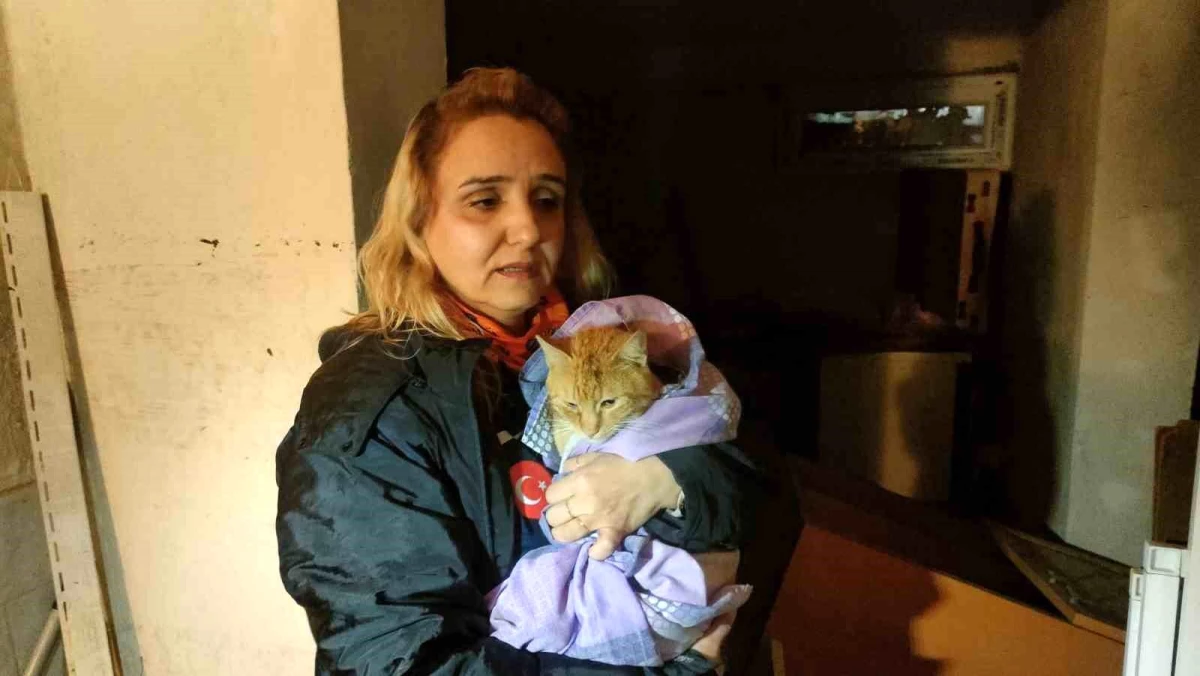 AFAD Gönüllüsü, sel sularında boğulmak üzere olan kedisini kurtardı