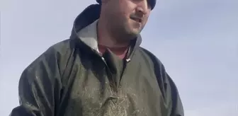 Sinop'ta 15 Kilogramlık Levrek Yakalandı