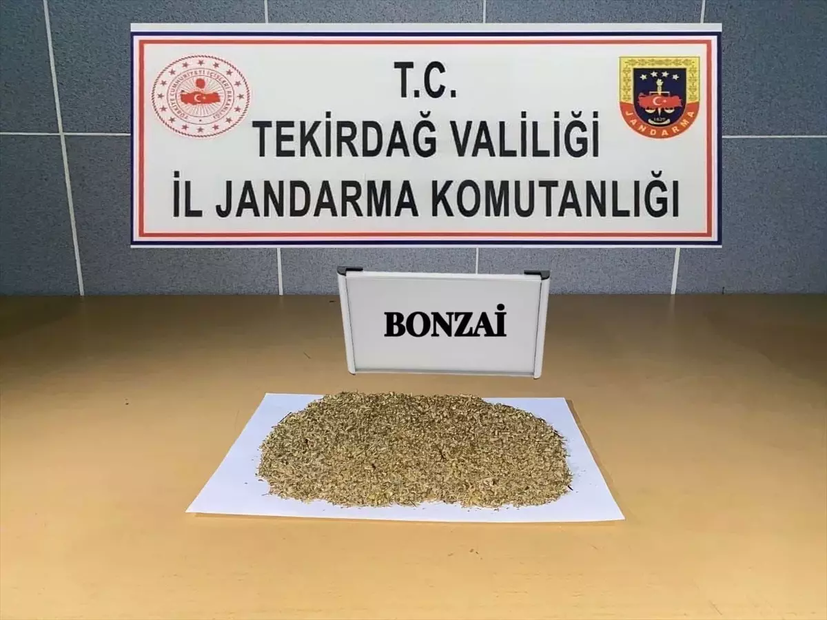 Tekirdağ\'da uyuşturucu ticareti yapan 4 şüpheli gözaltına alındı