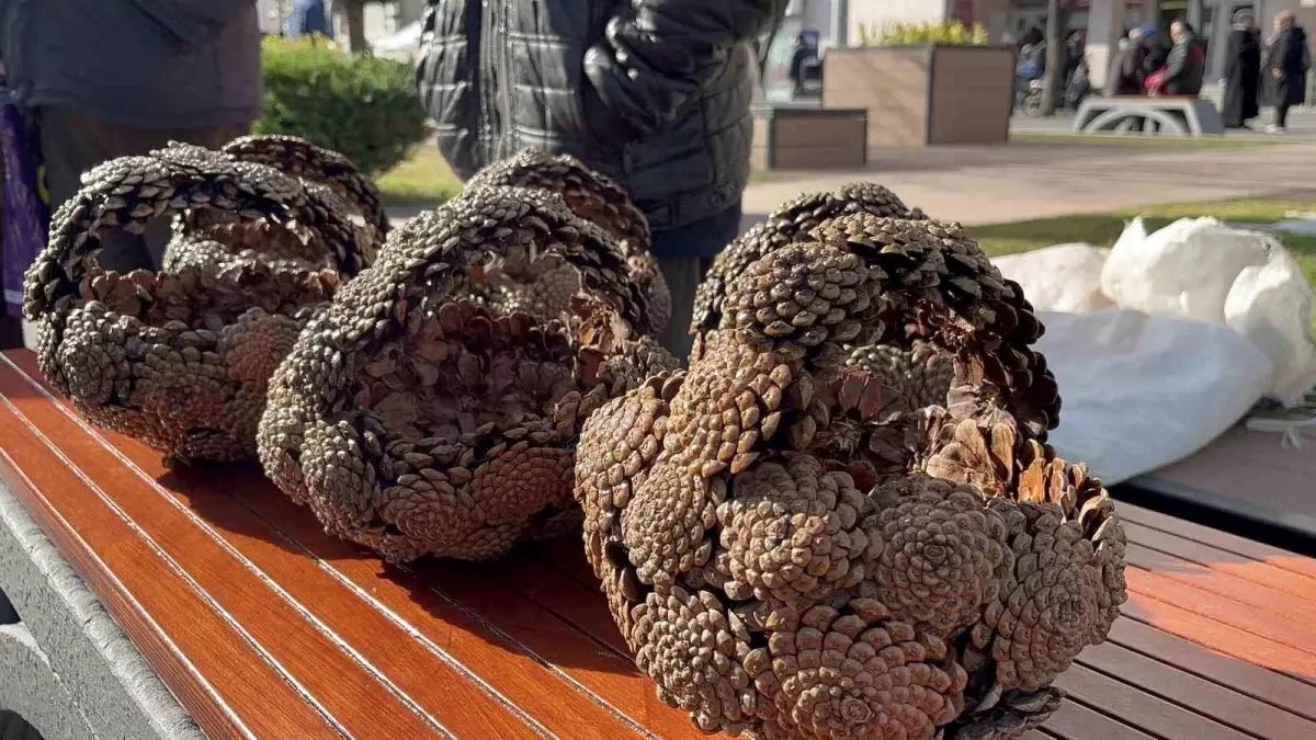 Bolu\'da 79 yaşındaki emekli kozalak sepetleri yaparak geçimini sağlıyor