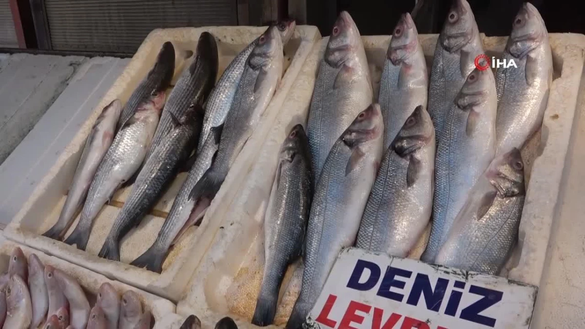 Balık sofraya ulaşıncaya kadar fiyatı yüzde 200 artıyor