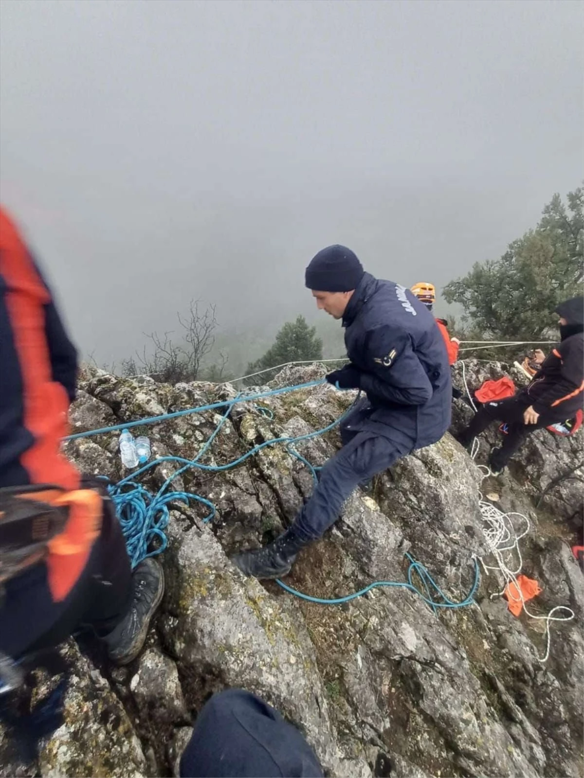 Bilecik\'te kayalıklarda mahsur kalan 2 küçükbaş hayvan kurtarıldı