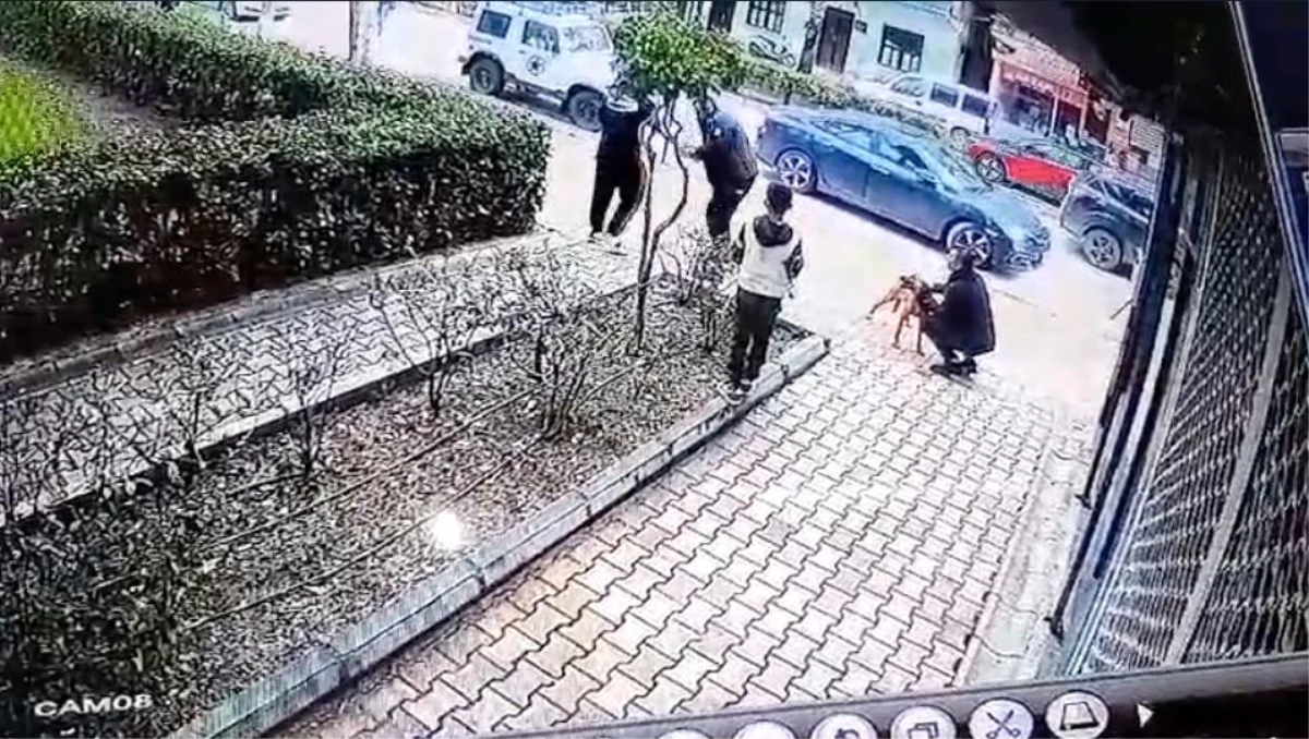 Antalya\'da köpek hırsızı şüpheli polislere zor anlar yaşattı