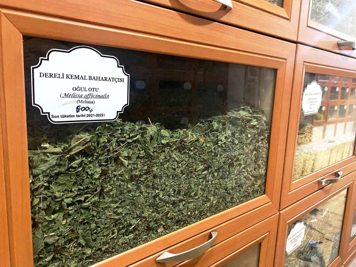 Konya\'da Aktar, Baharat Çayının Faydalarını Anlattı