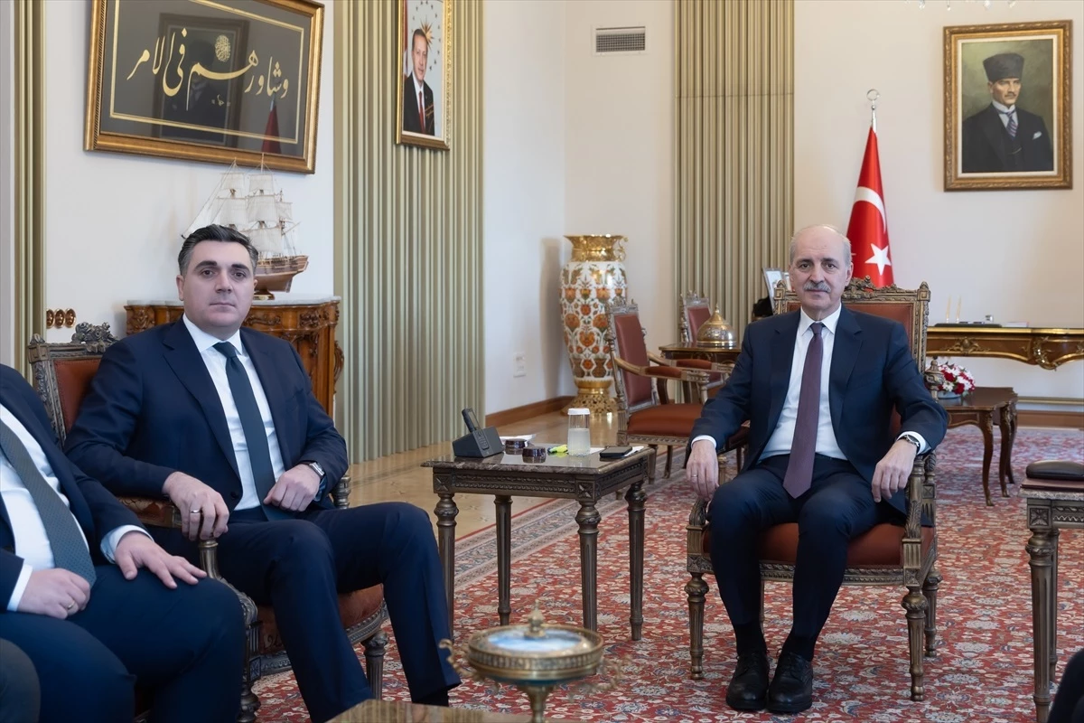 TBMM Başkanı Numan Kurtulmuş, Gürcistan Dışişleri Bakanı İlia Darçiaşvili\'yi kabul etti