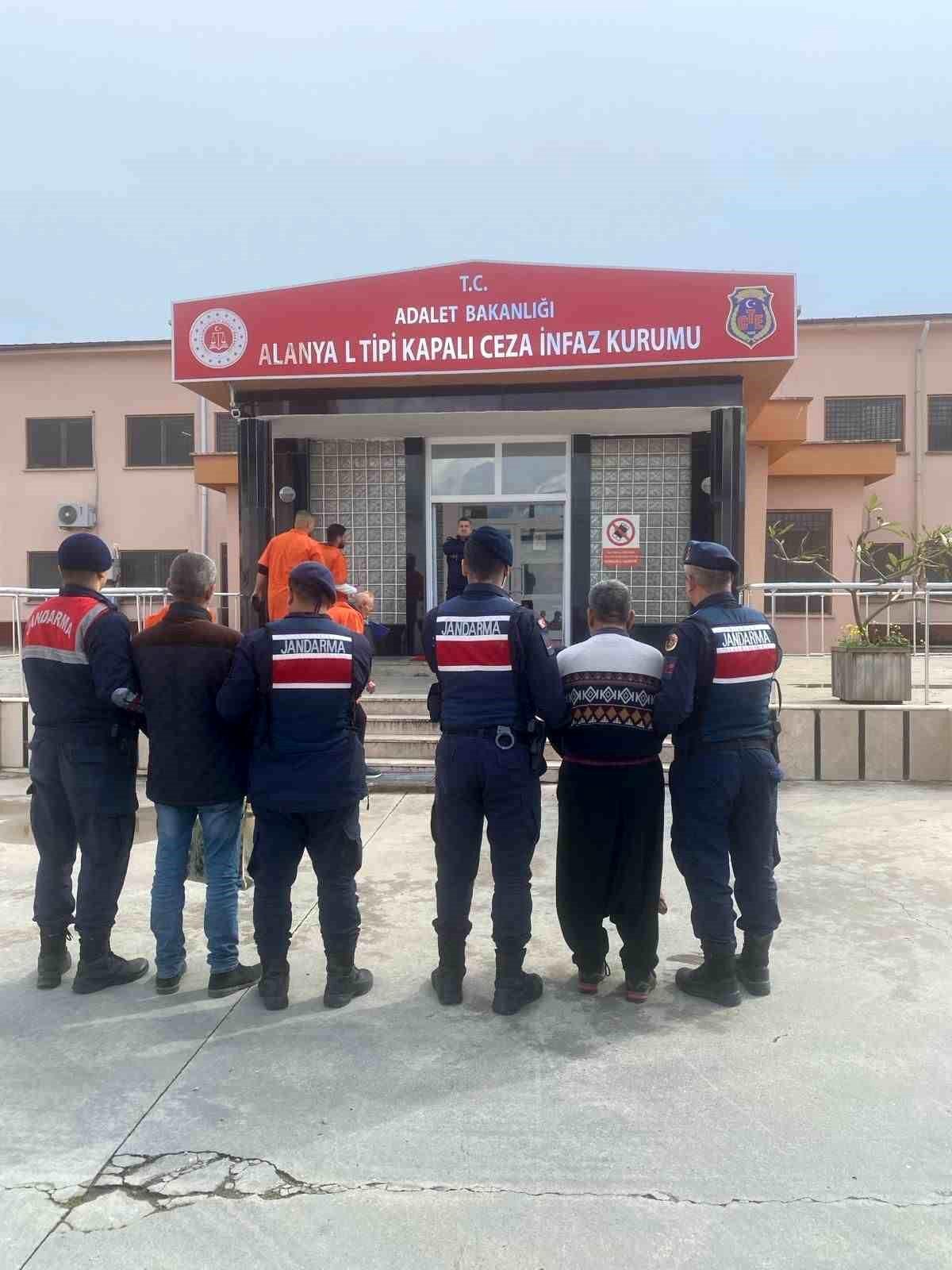 Alanya\'da 15 kasa avokado çalan hırsızlar yakalandı