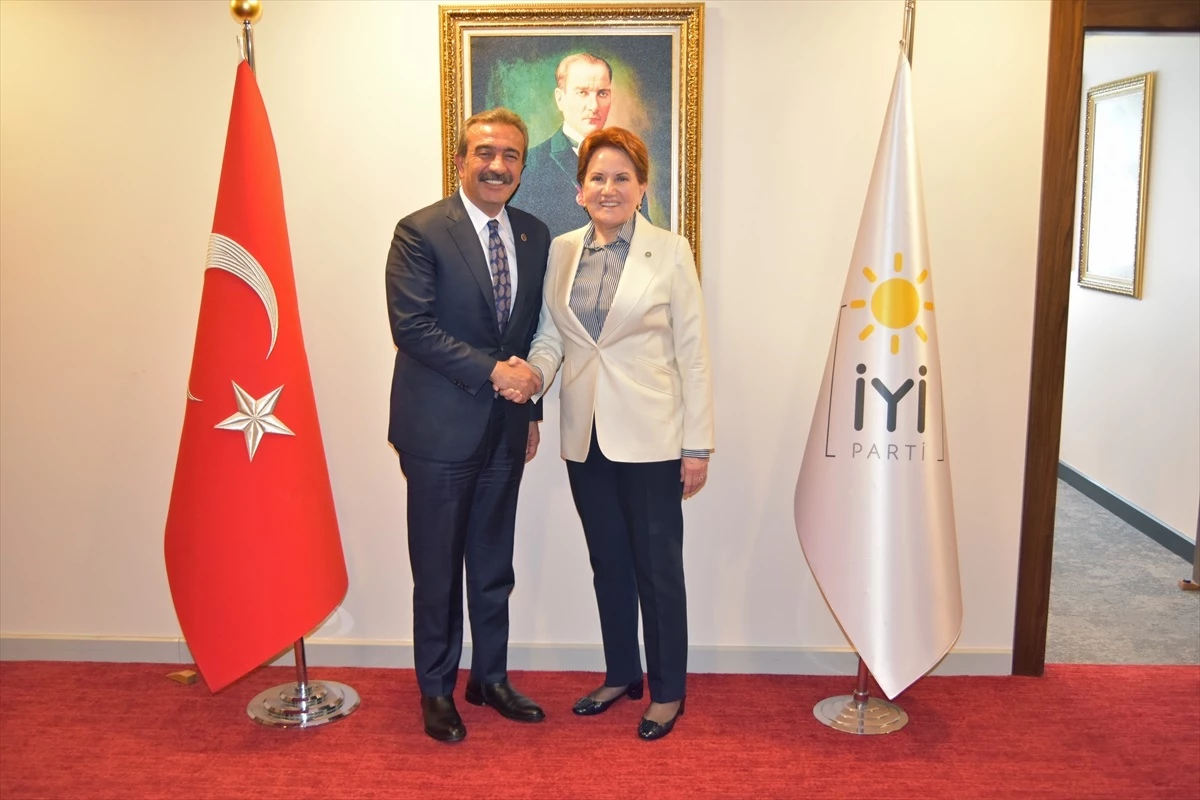 Meral Akşener, Çukurova Belediye Başkan adayı Soner Çetin\'i kabul etti