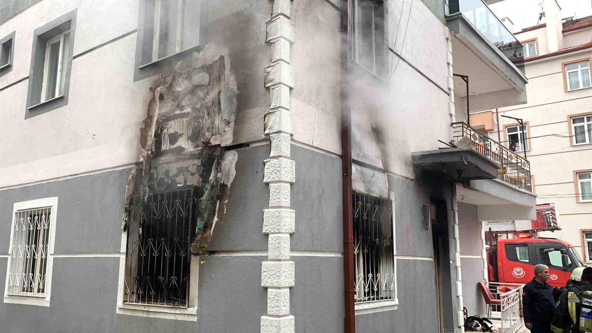 Karaman\'da çıkan yangında 2 kedi son anda kurtarıldı