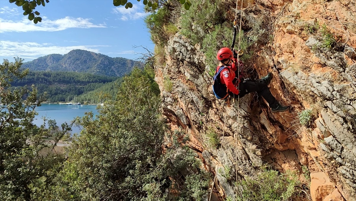 Marmaris\'te mahsur kalan 2 koyun AKUT tarafından kurtarıldı