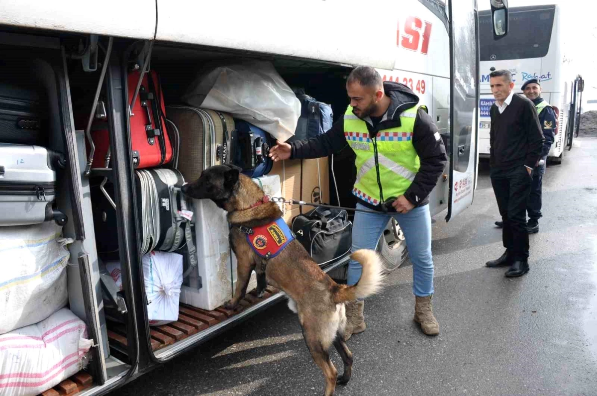 Muş\'ta Jandarma Ekipleri Yolcu Otobüslerinde Emniyet Kemeri Denetimi Yaptı