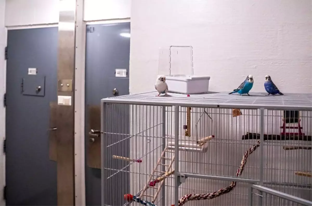 Norveç\'te Neo-Nazi Anders Breivik, tecritte tutulmasına karşı açtığı davayı kaybetti