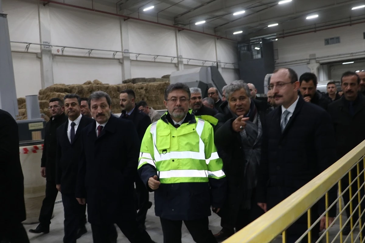 Tarım ve Orman Bakanı Yumaklı, Samsun\'da kenevir fabrikasını inceledi