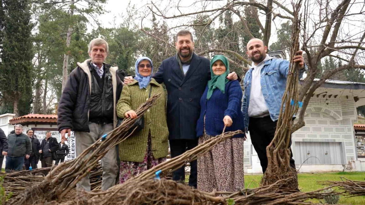 Balıkesir Büyükşehir Belediyesi, Sındırgı\'da Çiftçilere Ceviz ve Badem Fidanı Dağıttı