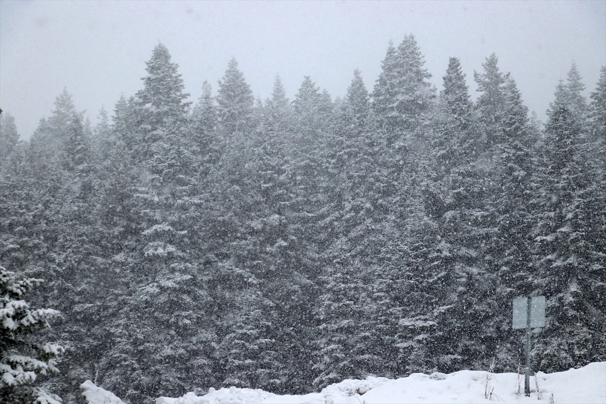 Ilgaz Dağı\'nda Kar Yağışı Etkili Oluyor