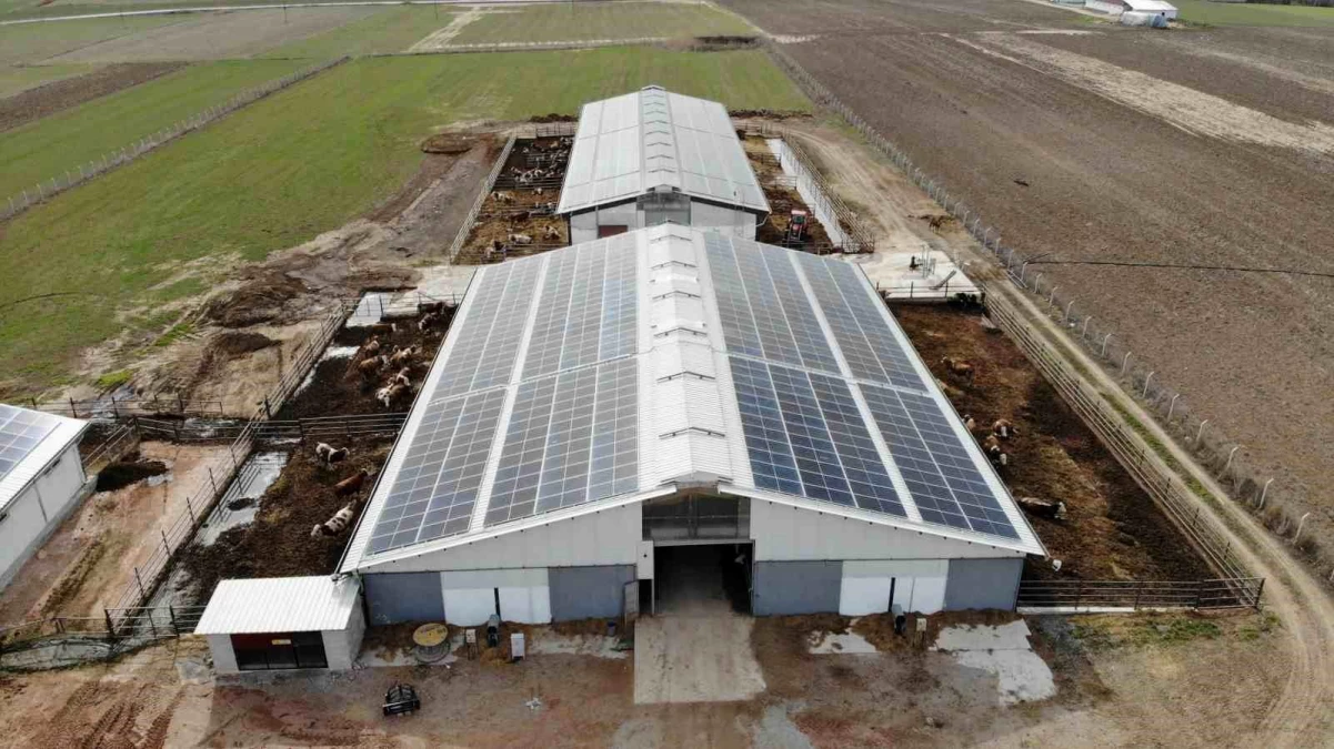 Yozgat\'ta Veteriner Hekim Güneş Enerjisiyle Çiftlik İşletiyor