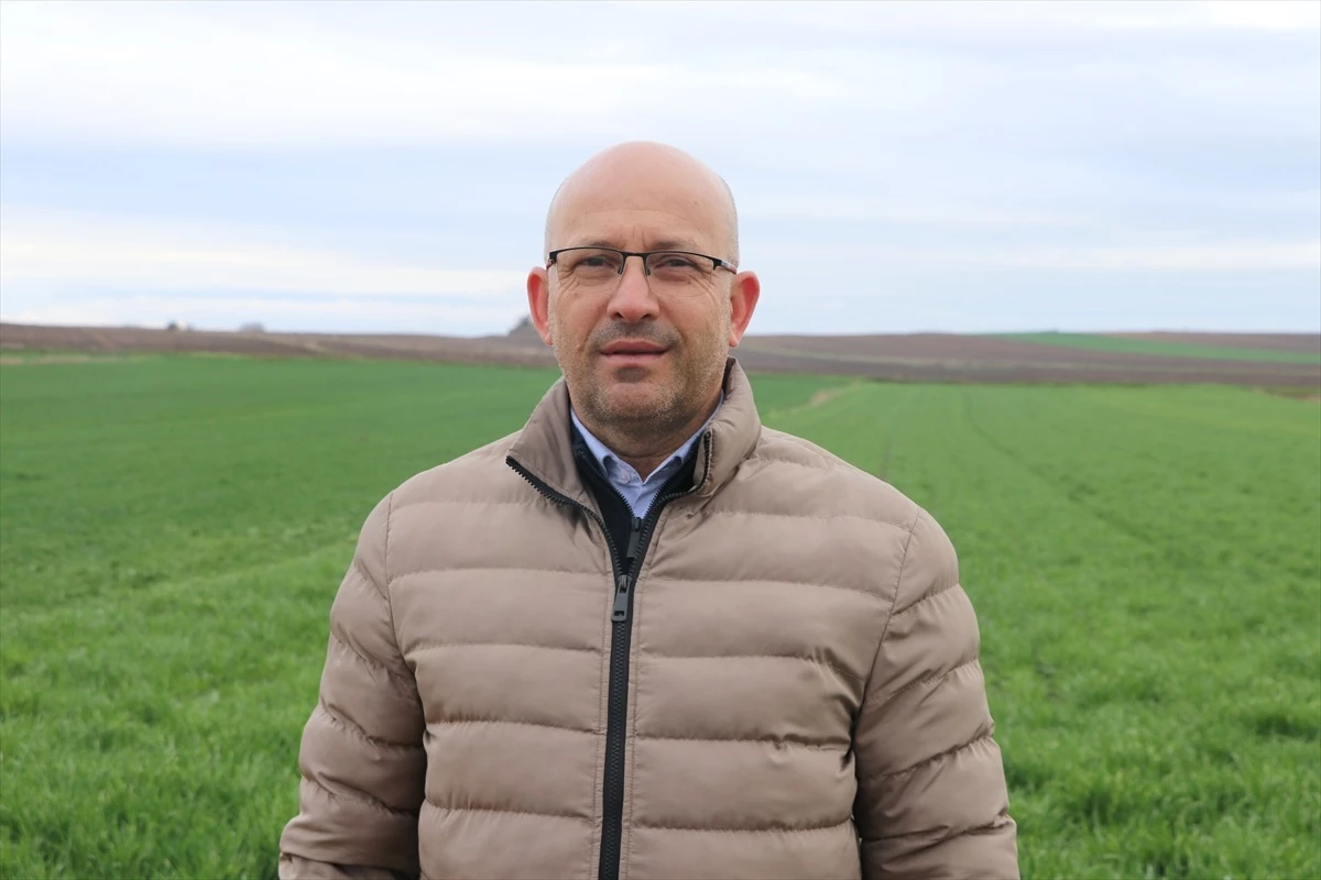 Edirne\'de Yağışlar Buğday Üretimine Katkı Sağladı