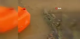 Hatay'da caddeler göle döndü, seralar su altında kaldı