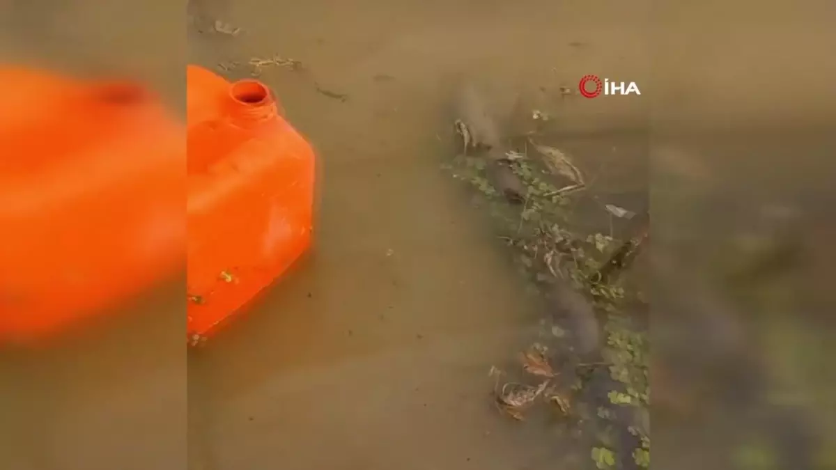 Hatay'da caddeler göle döndü, seralar su altında kaldı